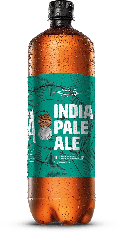 10. IPA 1L 1